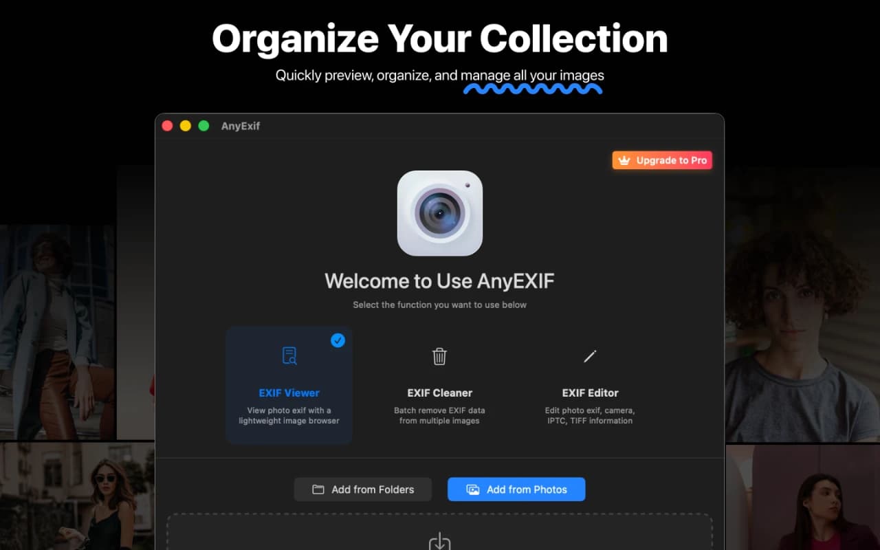 Organize Collection